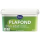 PEINTURE PLAFOND BON ÉTAT