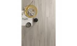 Solid Plus - décor 707 Gorgias